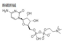 胞磷胆碱